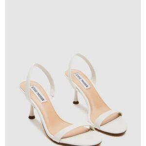 NEW- Steve Madden Elma Sandal